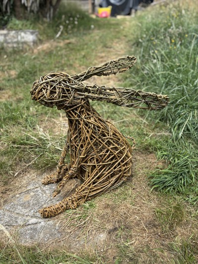 Worswell Barton Farm: Sitting Hare Full Day Workshop- March 7th 2026