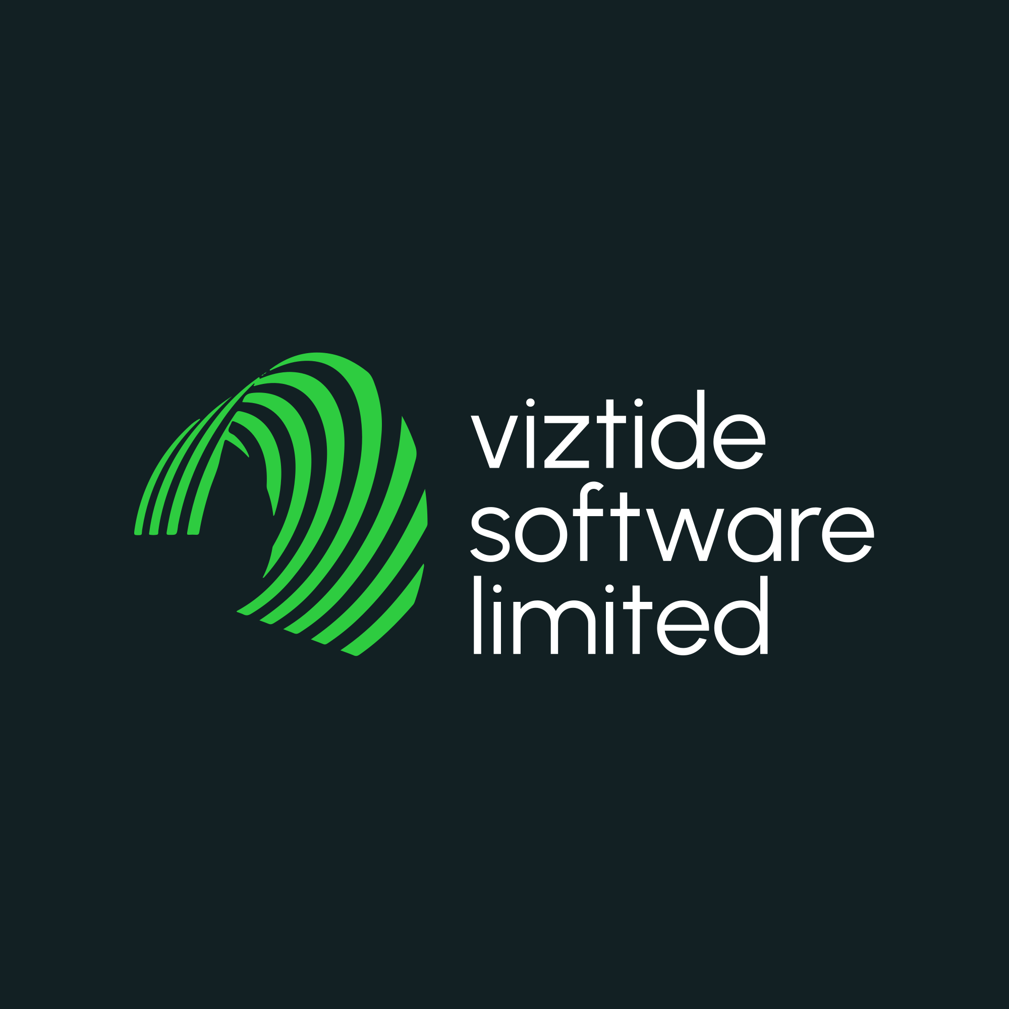 VizTide Software Limited Logo